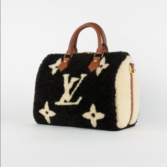 Louis Vuitton Shearling Teddy Speedy 25 - Picture 4 of 13